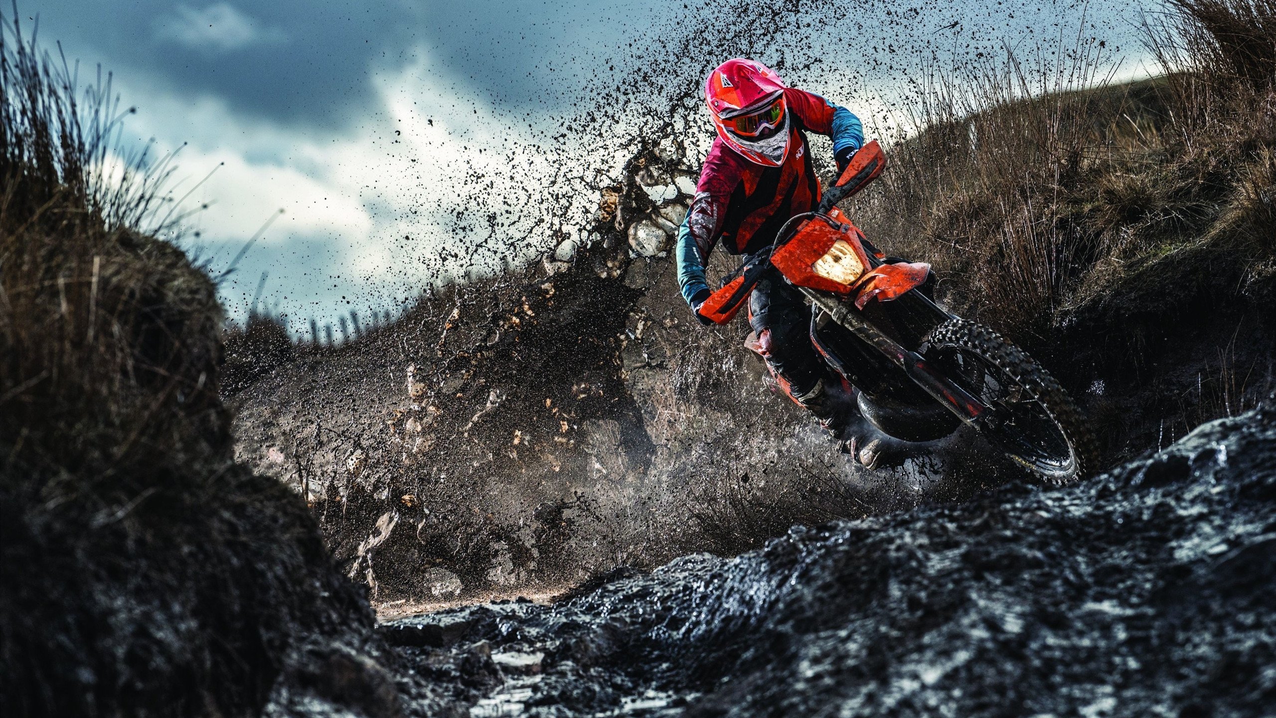 技术细腻 施瓦茨自由泳打出节奏美学，swolf自由泳