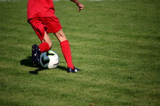 中国足球职业联赛完善俱乐部财务与运营体系，足球职业俱乐部运营方案